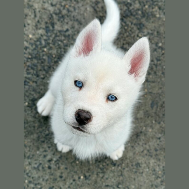 Photo of Mash