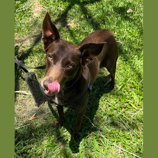 Photo of Chloe
