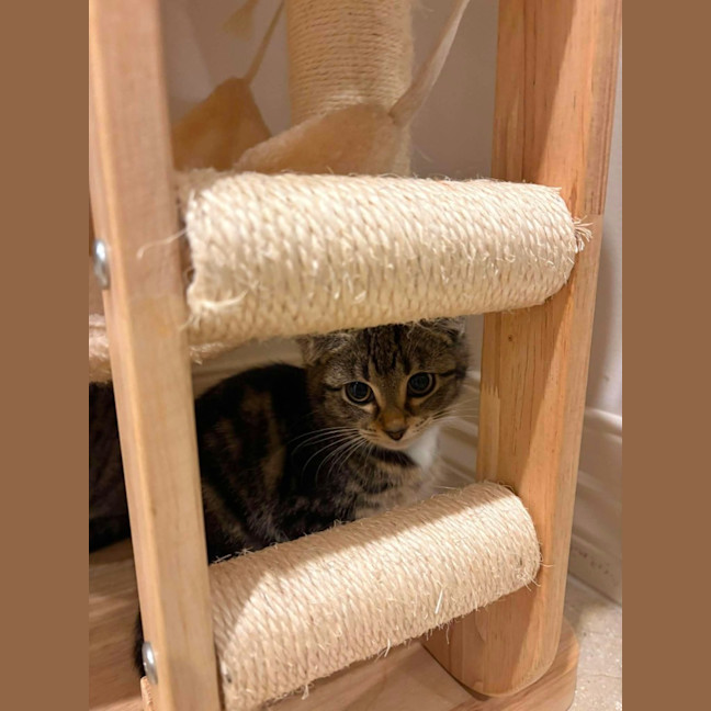 Photo of Suki