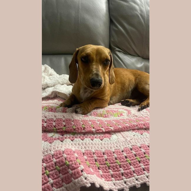 Photo of Roxy