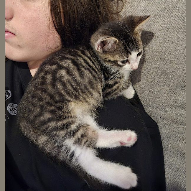 Photo of Mini Miranda