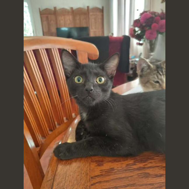 Photo of Nix