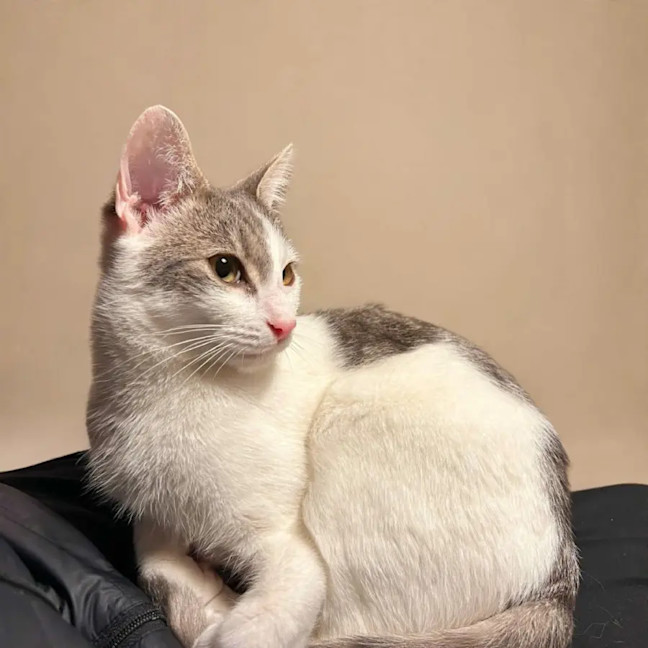 Photo of Billy