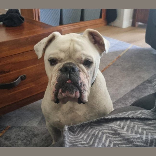 Photo of Stormin Normin