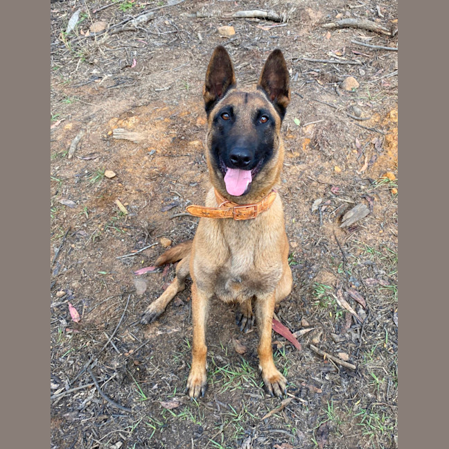 Photo of Betty