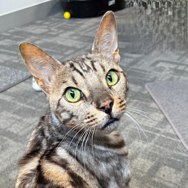 Photo of Monty Rsta012636