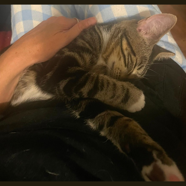 Photo of Cleo