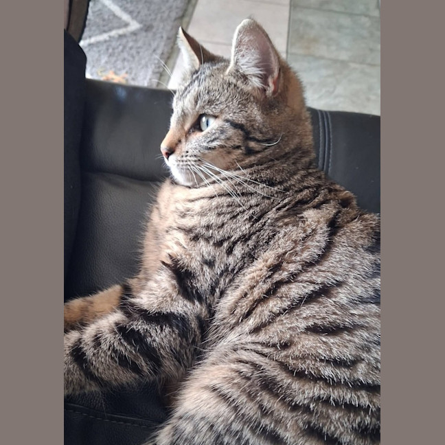 Photo of Titch