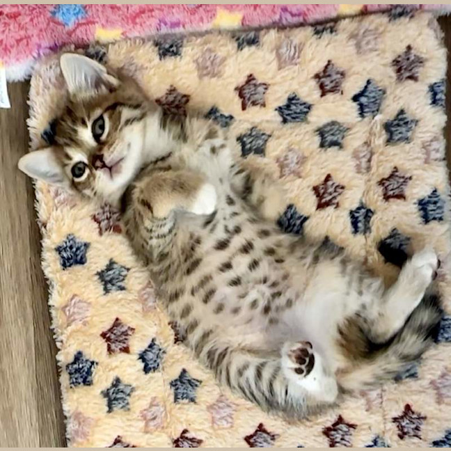 Photo of Hazel