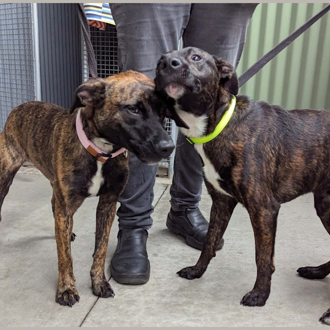 Photo of Winter & Baxter