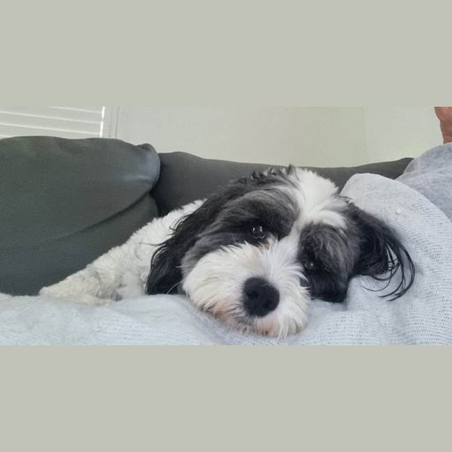 Photo of Wally