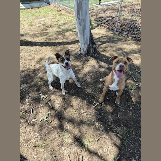 Photo of Skylar! 🌈