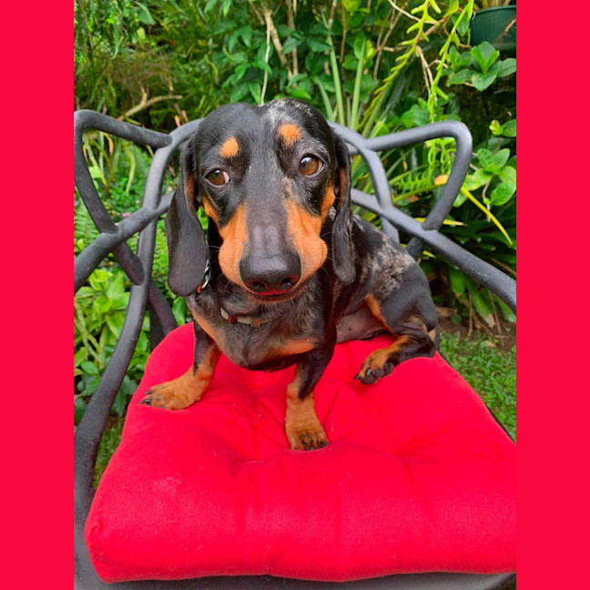 Photo of Hugo