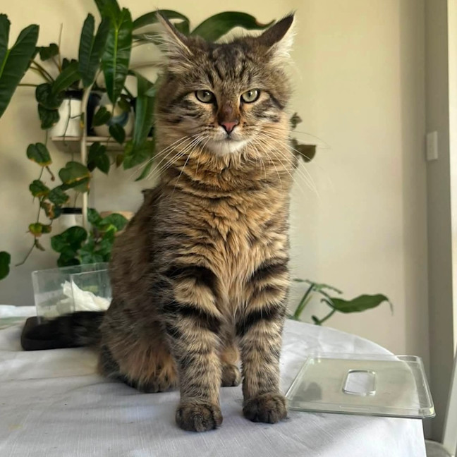 Photo of Leo