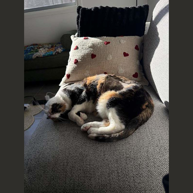 Photo of Georgie