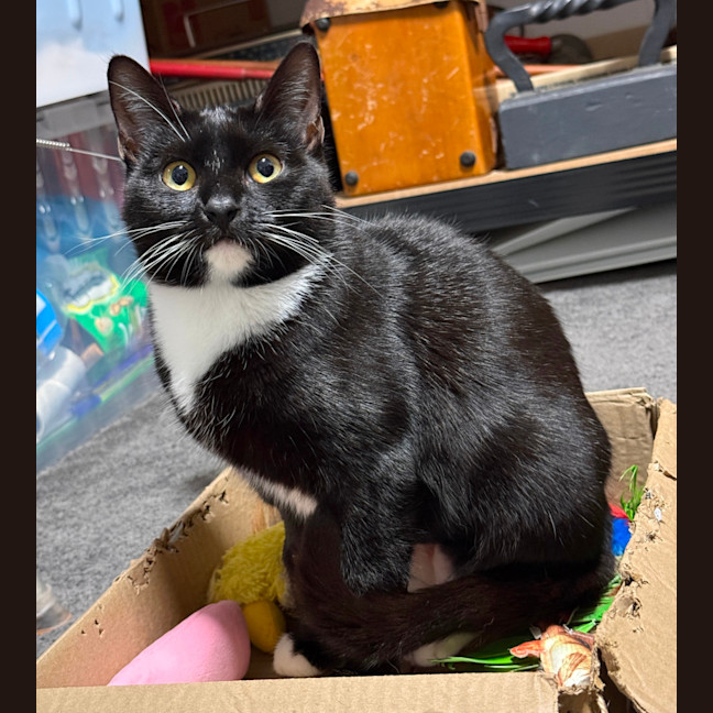 Photo of Novah