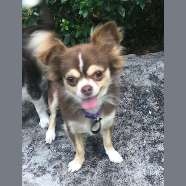 Photo of Bobbie