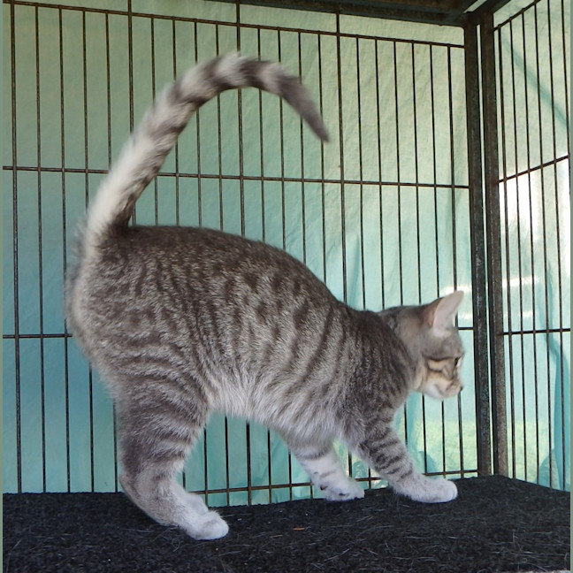 Photo of Brooke And Bruce