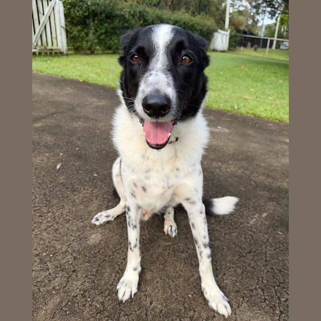 Photo of Buster
