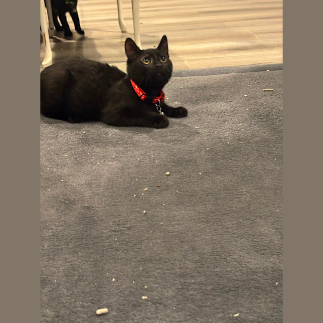 Photo of Lucifer