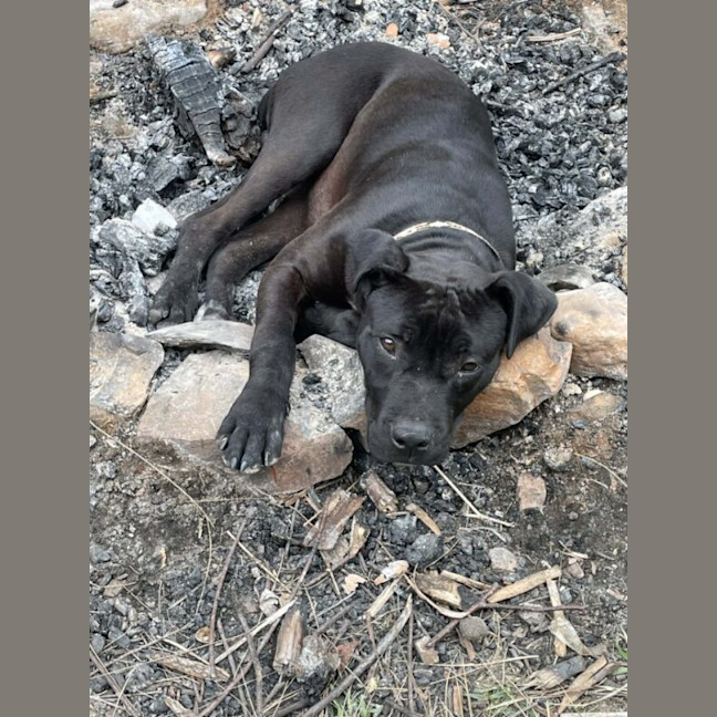 Photo of Leroy