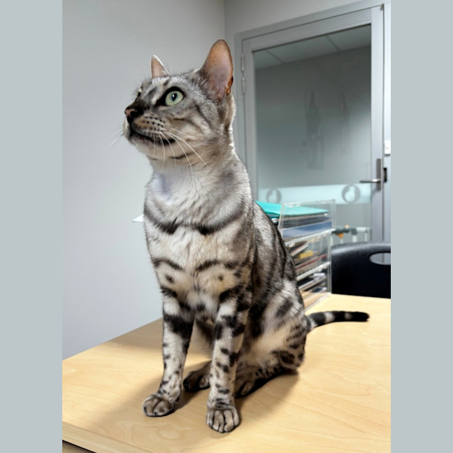 Photo of Jagerbomb Rsua013856