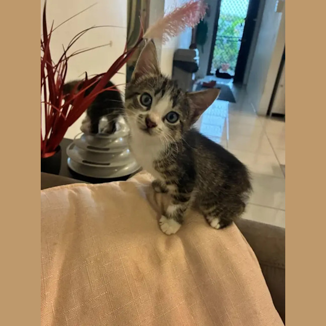 Photo of Bean