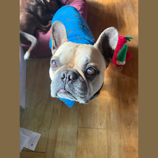 Photo of Gus
