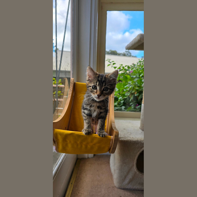 Photo of Gus