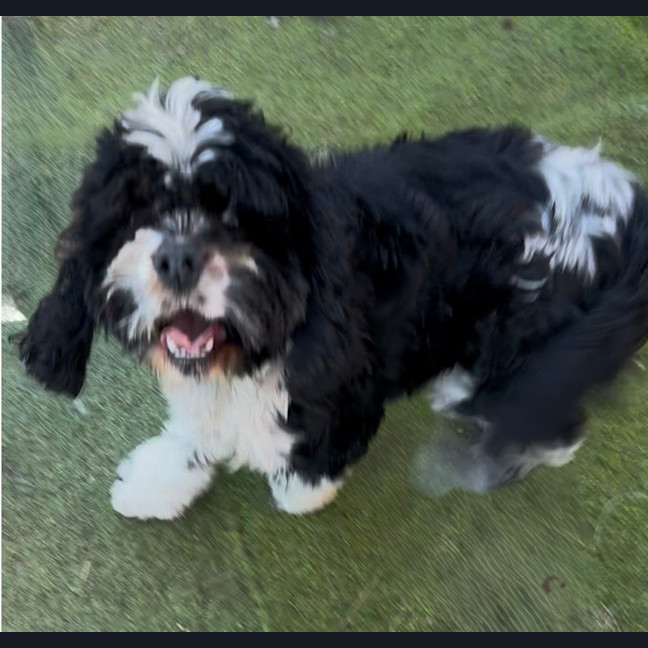 Photo of Maggie