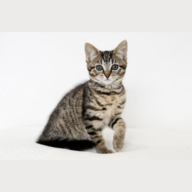 Photo of Milly