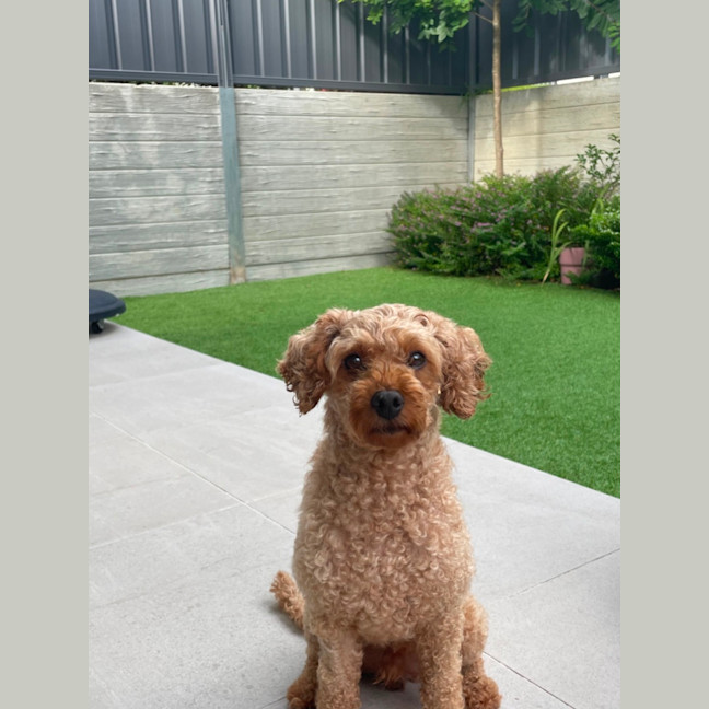 Photo of Lovely Murphy 