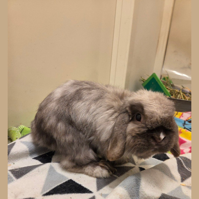 Photo of Theo