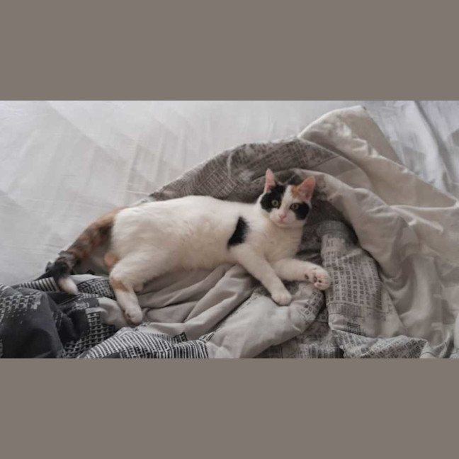 Photo of Lily