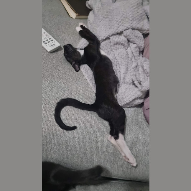Photo of Jaha