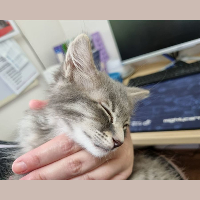 Photo of Bennie & The Jets