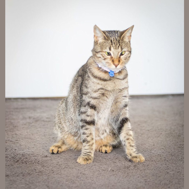 Photo of Tiggy