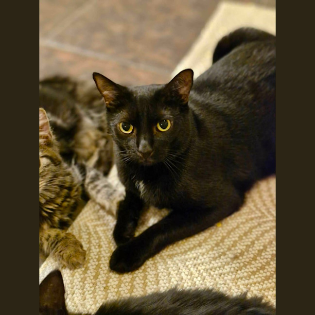 Photo of Finnigan