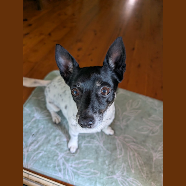Photo of Abbie