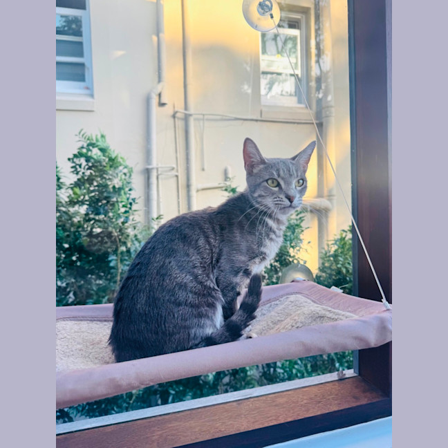 Photo of Rosie 