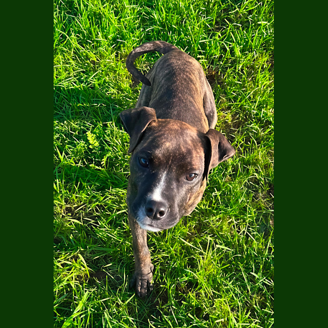 Photo of Genevieve