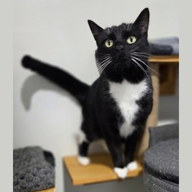 Photo of Delilah
