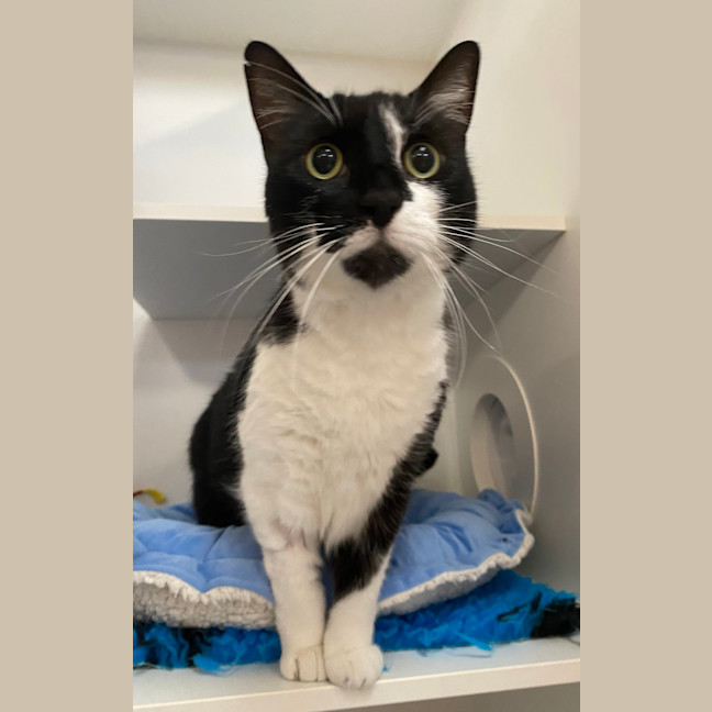 Photo of Lucy Mew