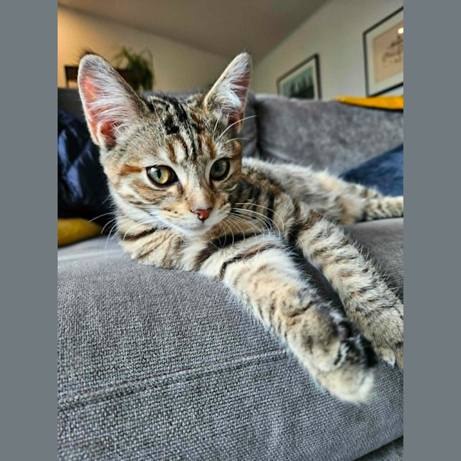Photo of Shirley