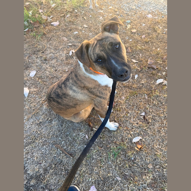 Photo of Bonnie