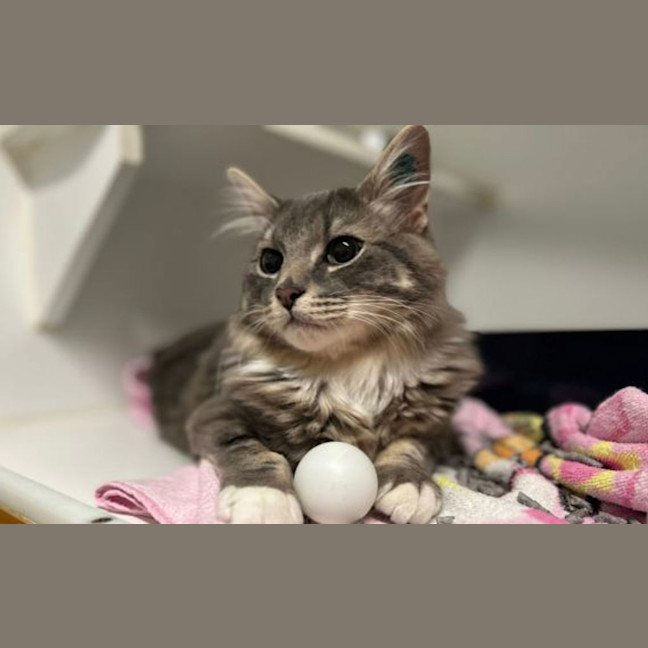 Photo of Hiro