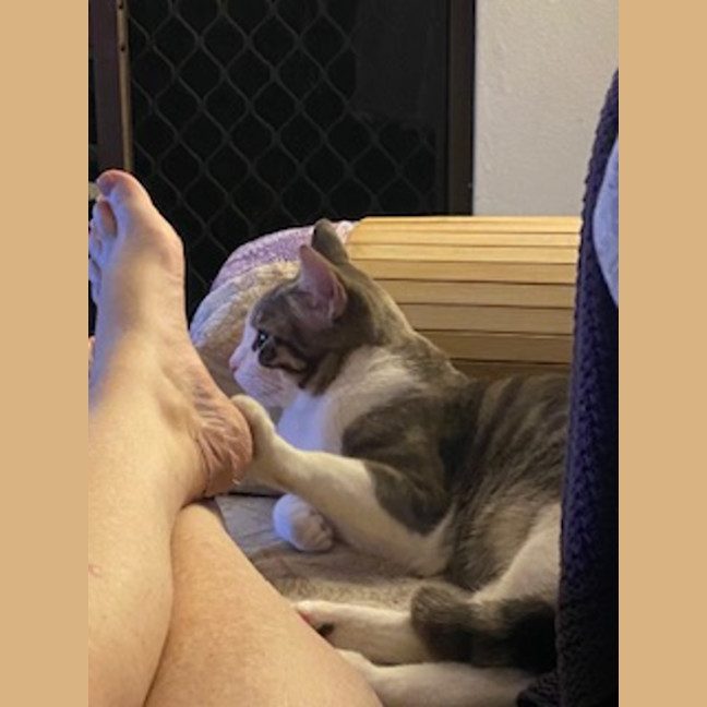 Photo of 💙George & 💜Lily