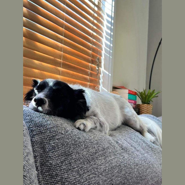 Photo of Sam Jablonski