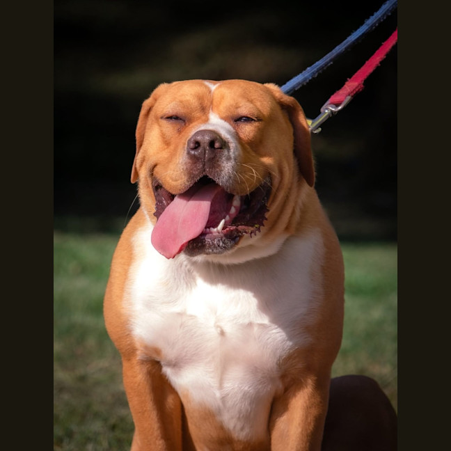 Photo of Rosie