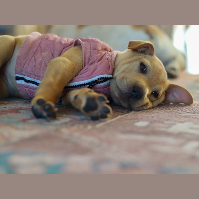 Photo of Winnie
